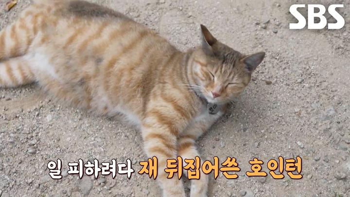 인기클립 TOP20