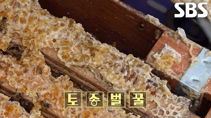 인기클립 TOP20