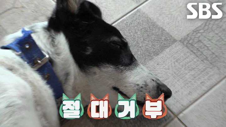 인기클립 TOP20