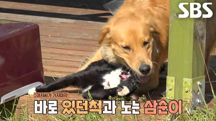 인기클립 TOP20