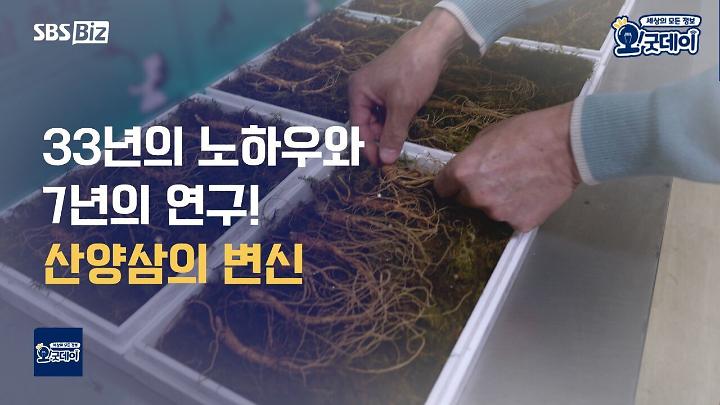 PR 이미지