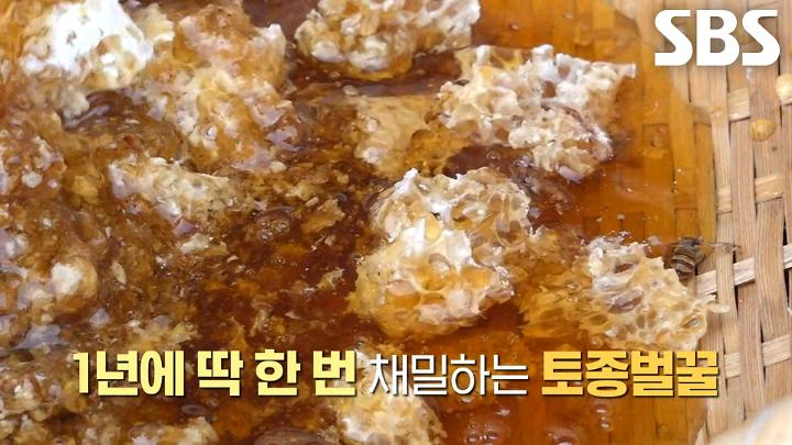 인기클립 TOP20