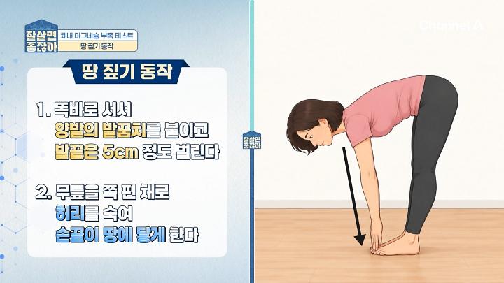인기클립 TOP20