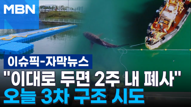 인기클립 TOP20