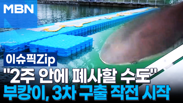인기클립 TOP20
