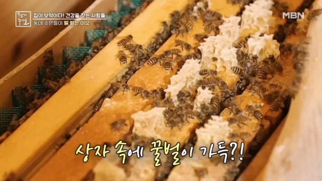 인기클립 TOP20