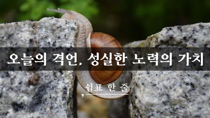 인기클립 TOP20