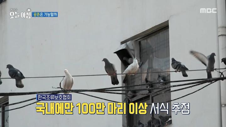 인기클립 TOP20