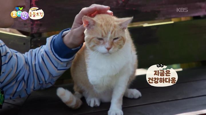 인기클립 TOP20