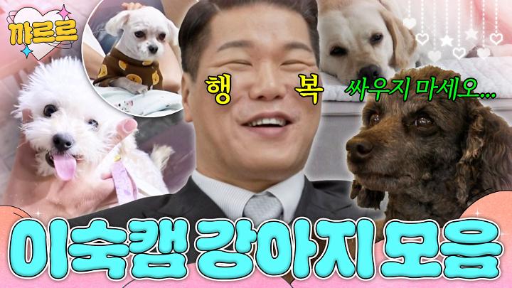 인기클립 TOP20
