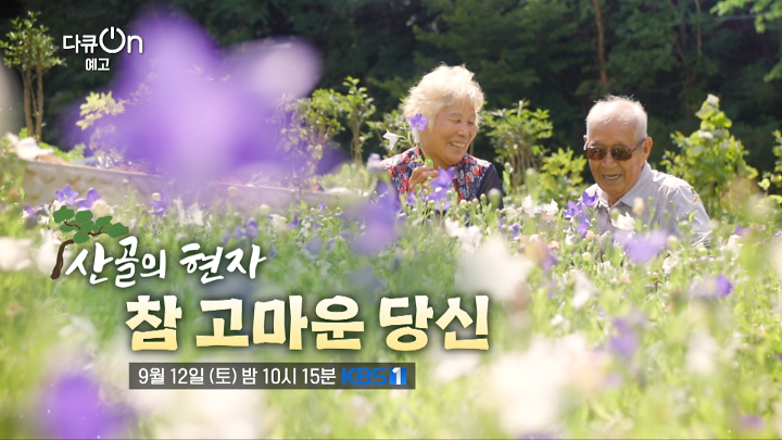 최신클립 TOP20