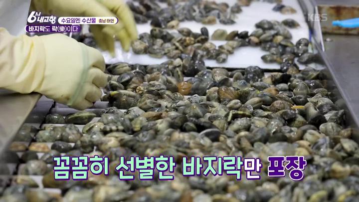 인기클립 TOP20