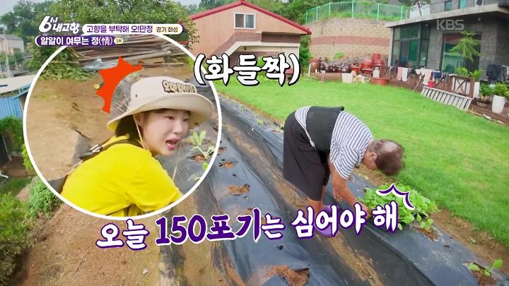 인기클립 TOP20