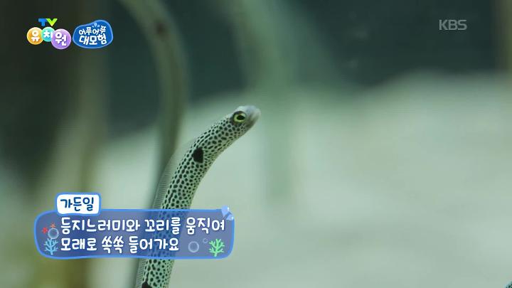 인기클립 TOP20