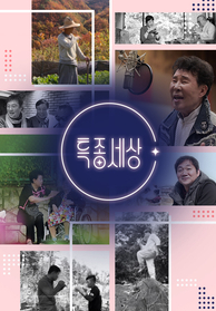인기프로그램
