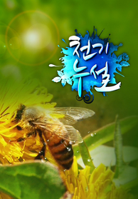 인기프로그램