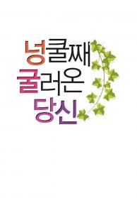 인기프로그램