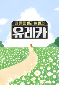 인기프로그램