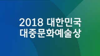 2018 대한민국 대중문화예술상  