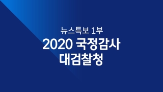뉴스특보 1부 2020 국정감사 대검찰청 
