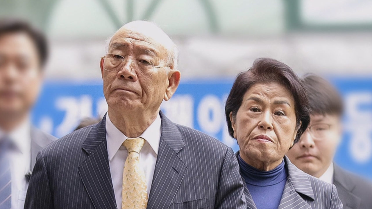 동영상 영역