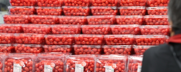 과채 가격 1년 사이 '쑥'…방울토마토 42% 비싸져