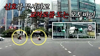 알면 살고, 모르면 죽는다! <한문철의 블랙박스 리뷰> 테마 동영상 458