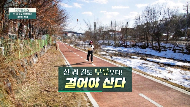 다큐 플러스 343회 재방송 다시보기