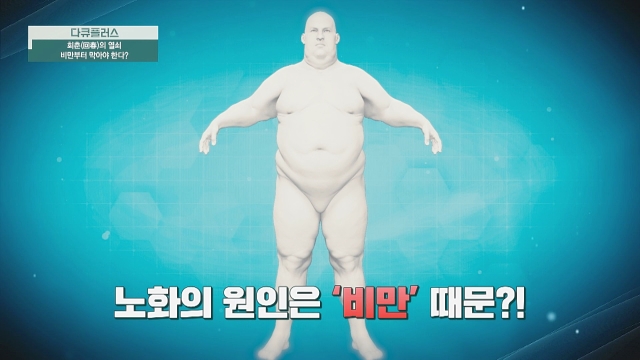 다큐 플러스 344회 재방송 다시보기