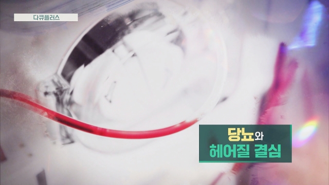 다큐 플러스 346회 재방송 다시보기