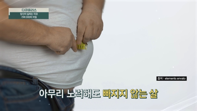 다큐 플러스 349회 재방송 다시보기