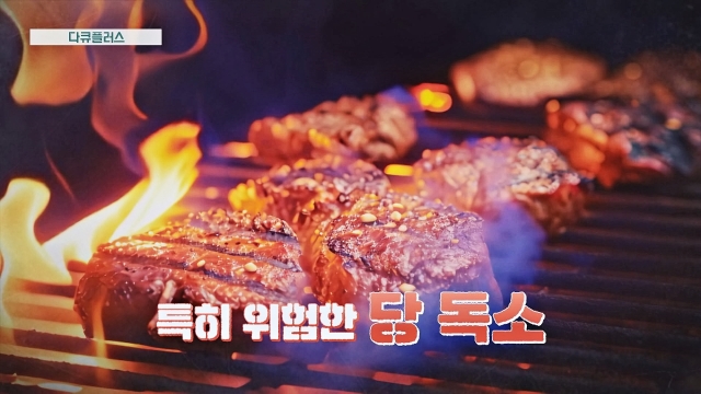 다큐 플러스 352회 재방송 다시보기