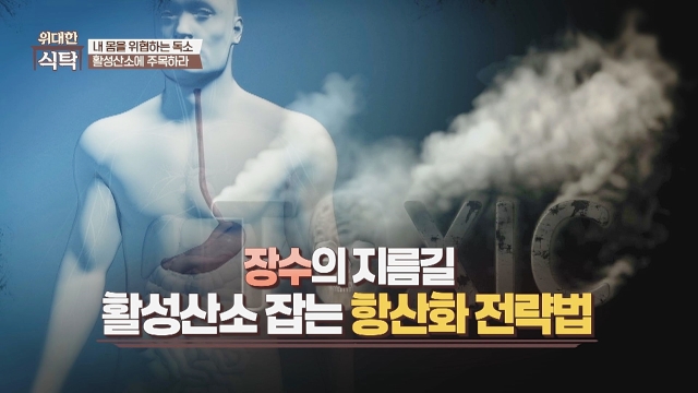 위대한 식탁 154회 재방송 다시보기