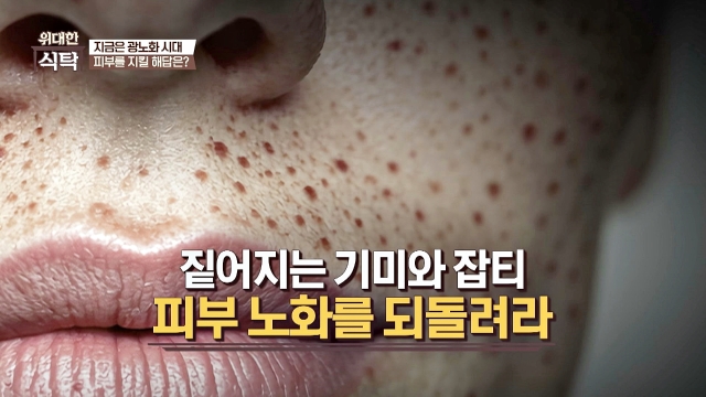 위대한 식탁 156회 재방송 다시보기
