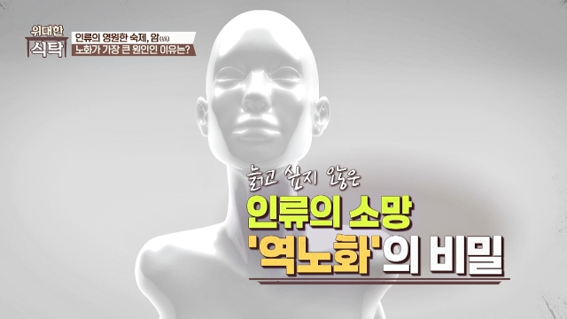 위대한 식탁 157회 재방송 다시보기
