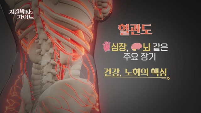 지킬박사와 가이드 136회 재방송 다시보기