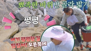 허삼부자의 특★한 동거 <허섬세월> 테마 영상 목록 No.89