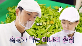 지금까지 이런 ‘급식’은 없었다! <한국인의 식판> 테마 동영상 177