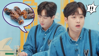 톡파원들이 전하는 각 나라 소식! <톡파원 25시> 테마 동영상 150