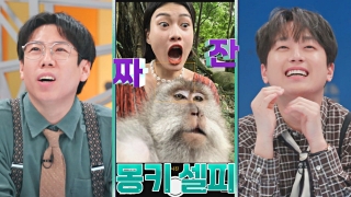 톡파원들이 전하는 각 나라 소식! <톡파원 25시> 테마 동영상 693