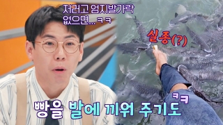 톡파원들이 전하는 각 나라 소식! <톡파원 25시> 테마 동영상 849