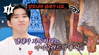 톡파원들이 전하는 각 나라 소식! <톡파원 25시> 테마 동영상 942